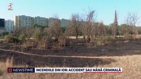 Incendiile din IOR- Accident sau mână criminală? Robert Negoiță: „Au otrăvit copacii, i-au tăiat, i-au incendiat”